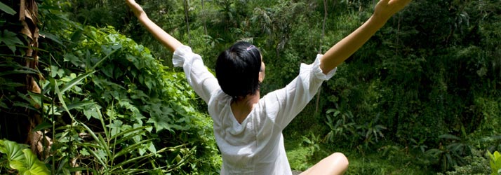 Chiropractic Shelburne VT Mental Resilience Chiropractic Shelburne VT Mental Resilience