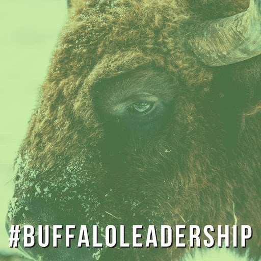 BuBuffalo Leadershipffalo Leadership BuBuffalo Leadershipffalo Leadership